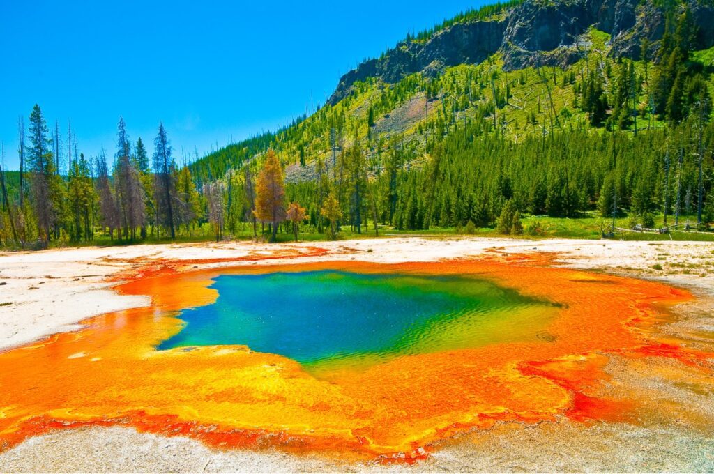 Yellowstone e o espetáculo da natureza em plena ebulição